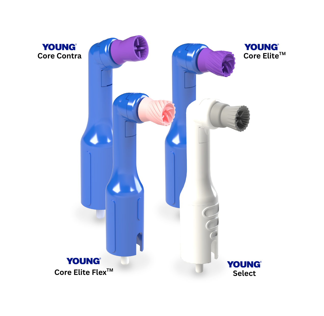 DPA Group Image - with Labels-1